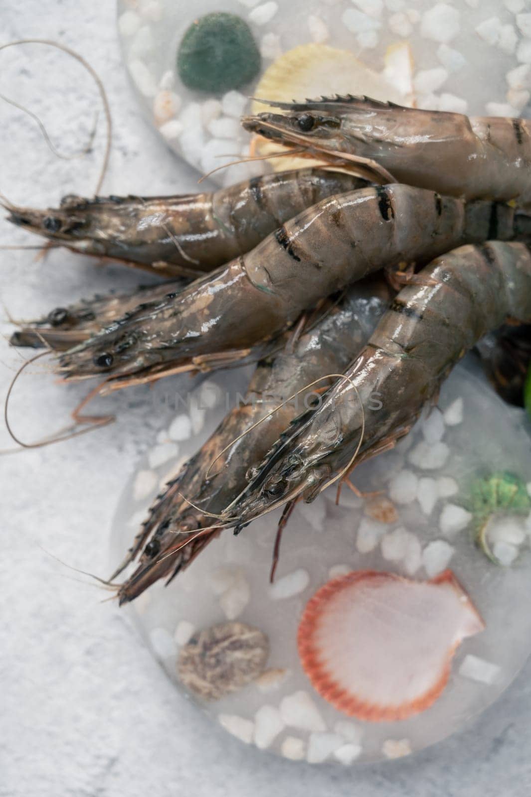 Raw whole fresh uncooked prawns shrimps on decorated ice with lime on gray stone background.