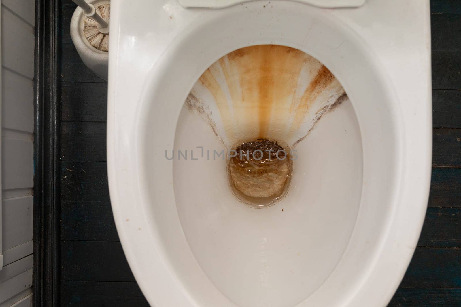 A white toilet bowl containing a single white shell, possibly dropped accidentally or intentionally. The shell contrasts against the porcelain surface of the toilet, creating a striking visual impact.