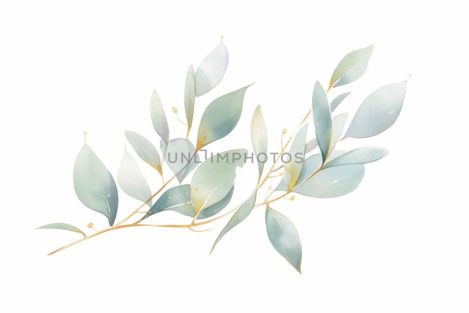 Green leaf eucalyptus branches hand drawn watercolor illustration