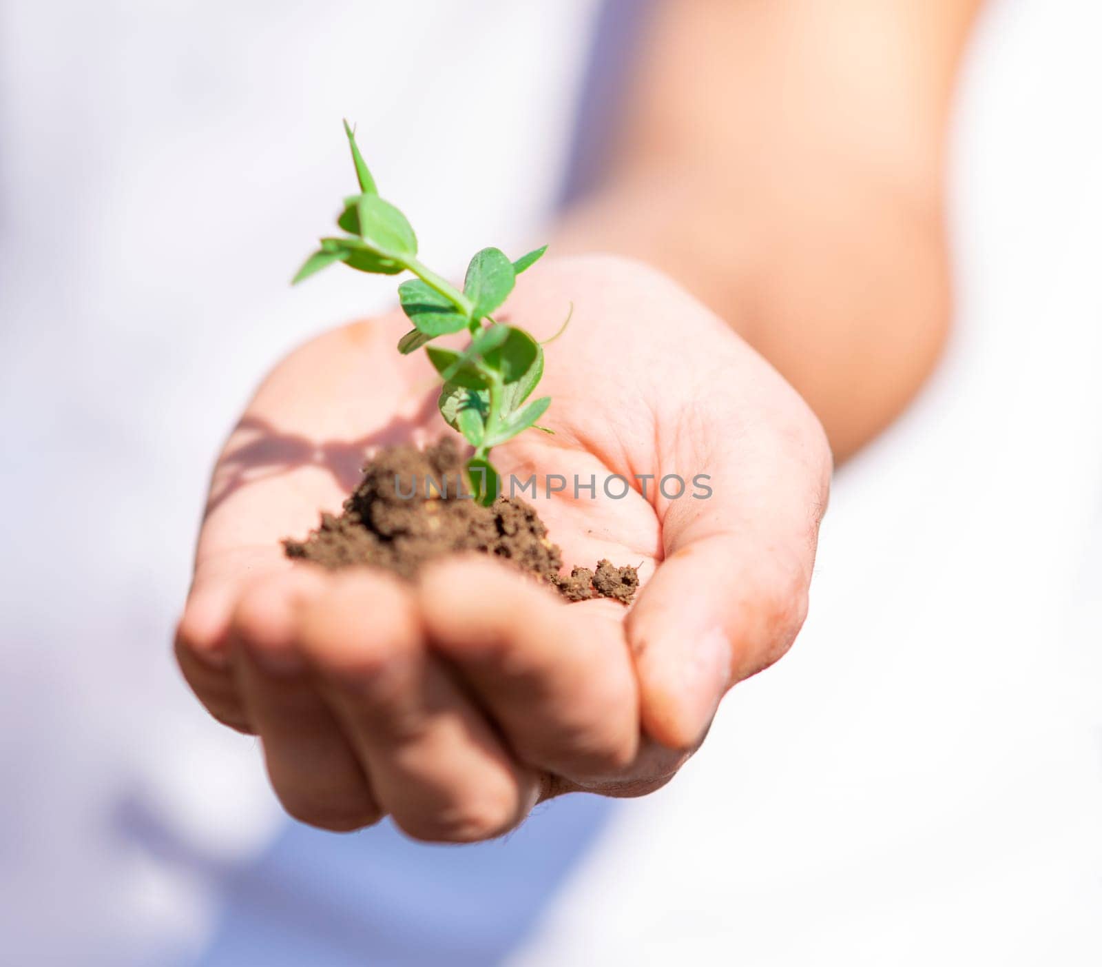 Hand holding a plant with soil close up.