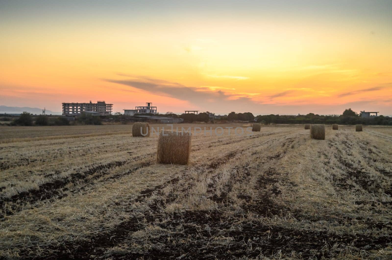 field with haystacks at sunset 1 by Mixa74