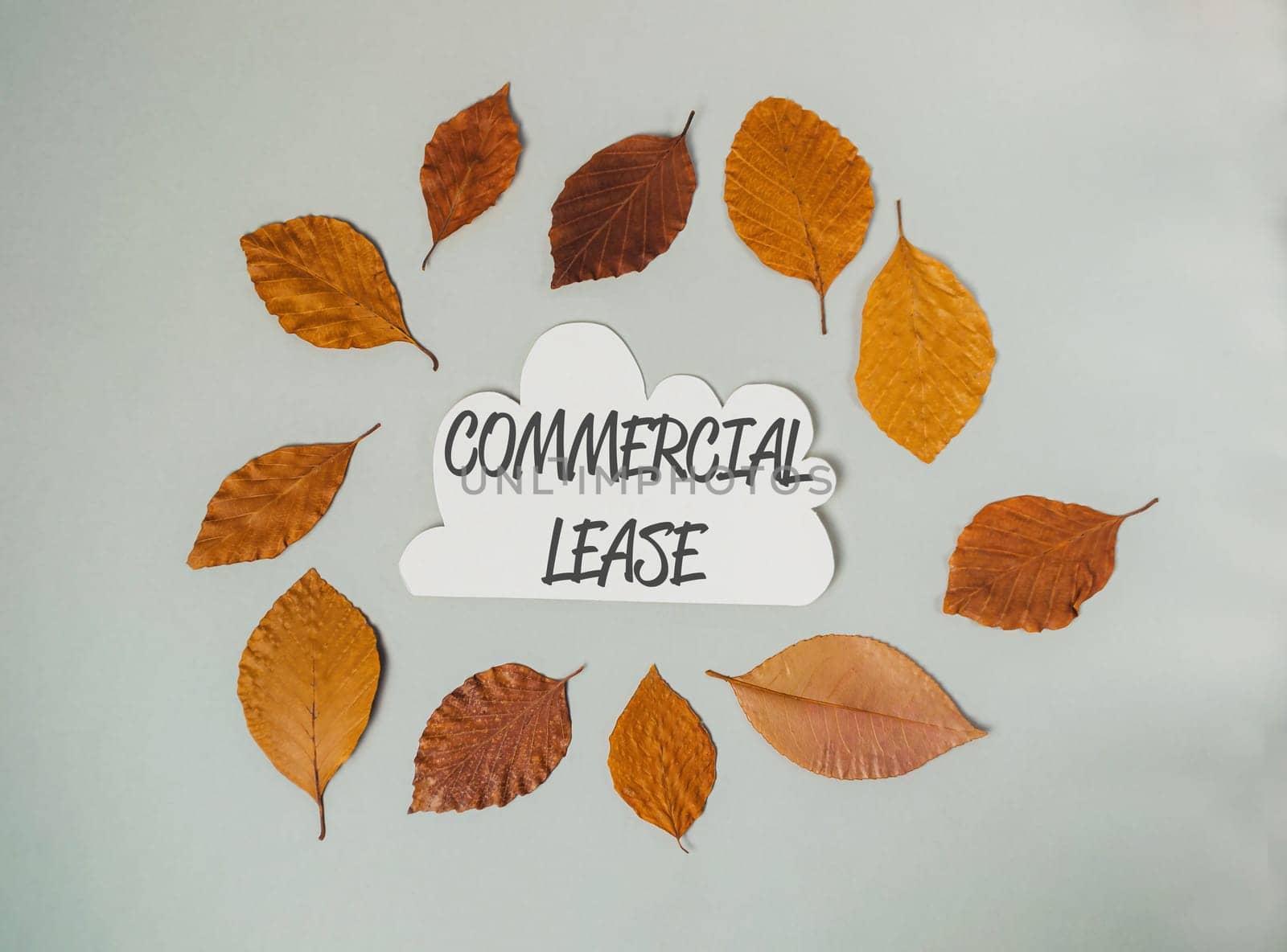 A white sign with the word commercial lease written on it. The sign is surrounded by leaves, which are scattered around the sign. The leaves are of different sizes and colors, creating a natural