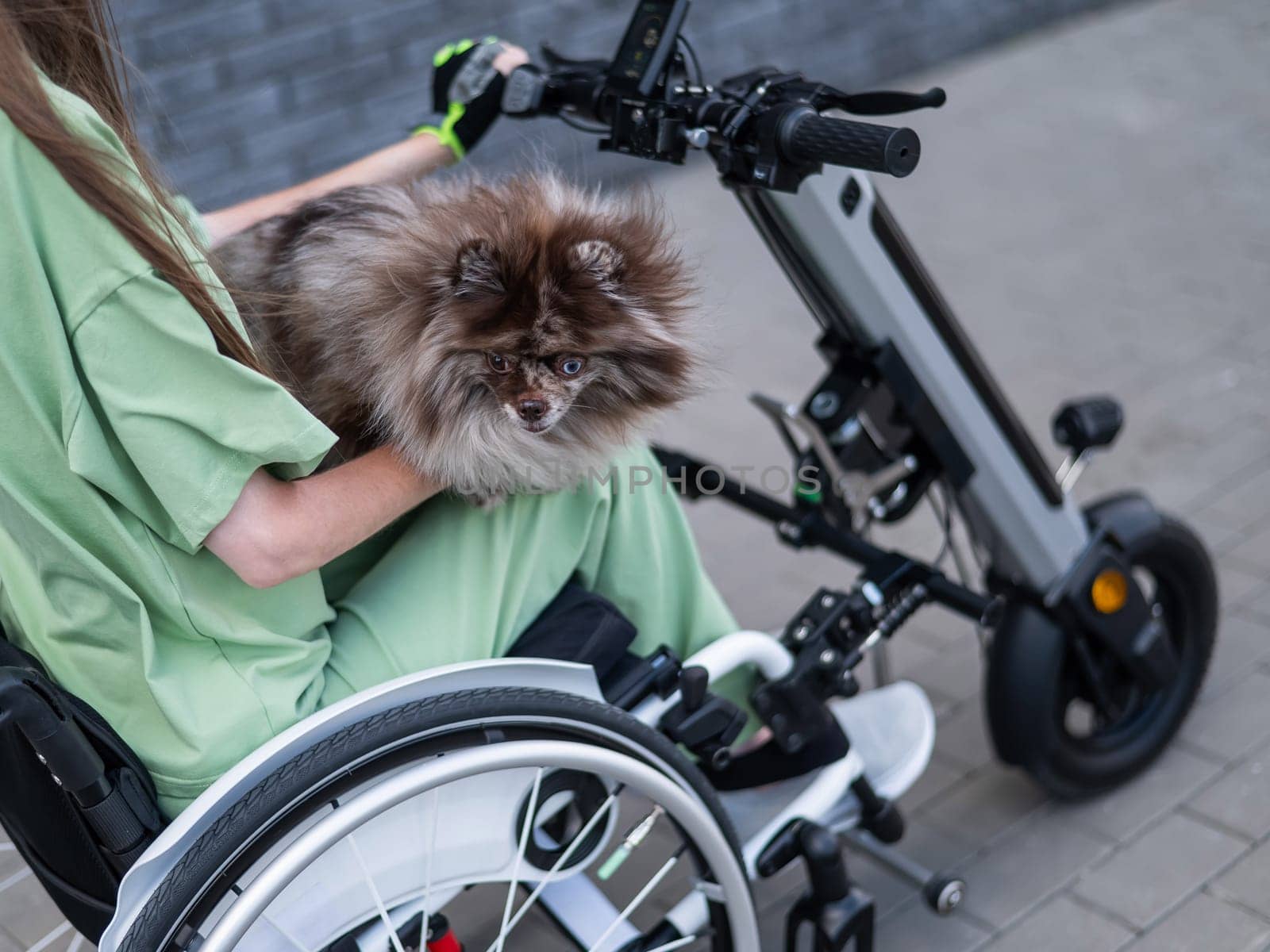 A woman in a wheelchair with a hand-control assist device carries a Spitz merle dog. Electric handbike