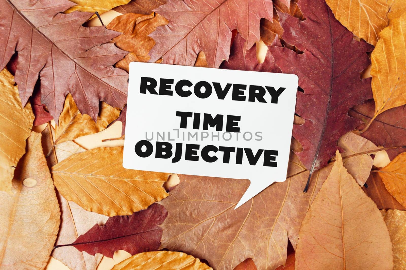 A white sign with the words Recovery Time Objective written on it is placed on top of a pile of autumn leaves
