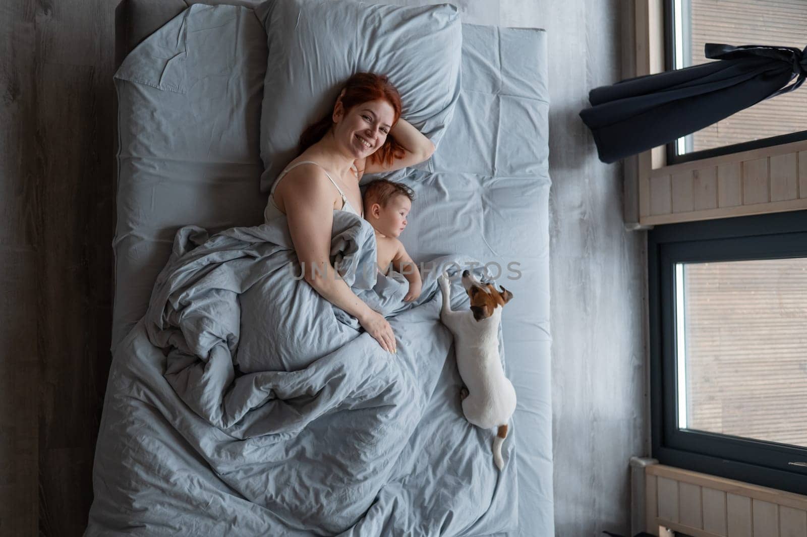 Top view of a red-haired Caucasian woman lying in bed with her baby son and Jack Russell terrier dog. by mrwed54