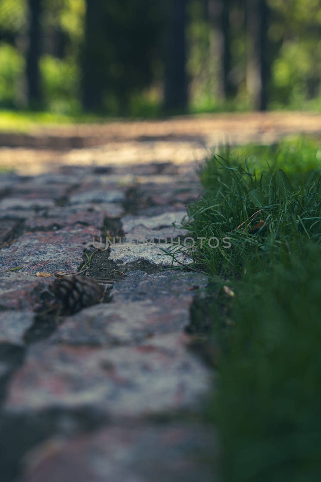 Stone path among the lawn. High quality photo