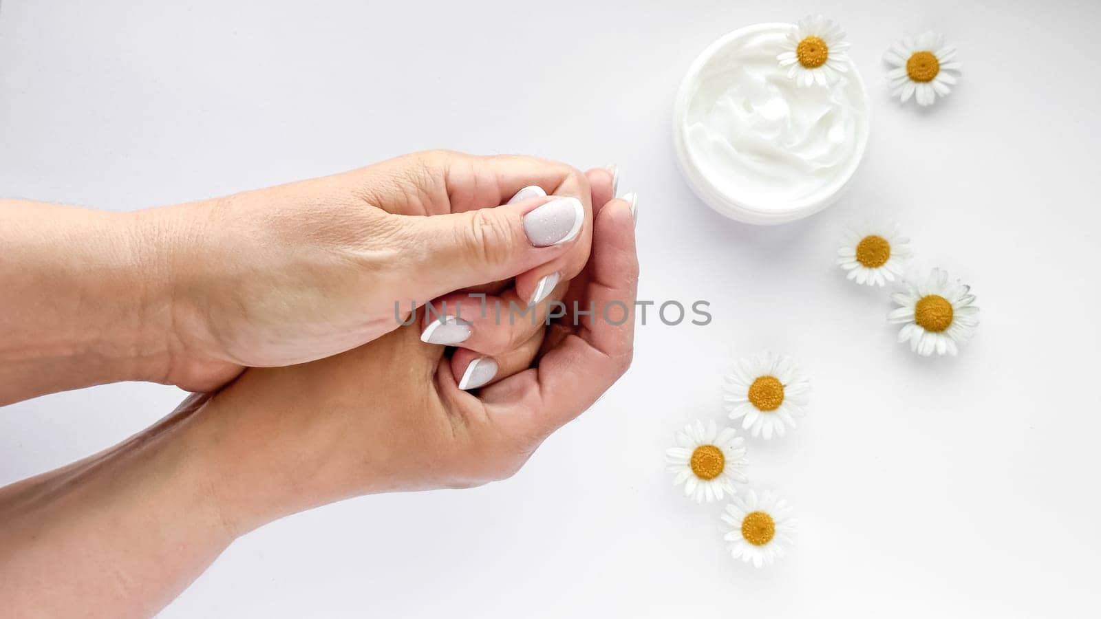 Close up of middle age woman hands applying cream with chamomile flowers and hand cream container on white background. Skincare and natural beauty concept. For healthcare, wellness, organic product.