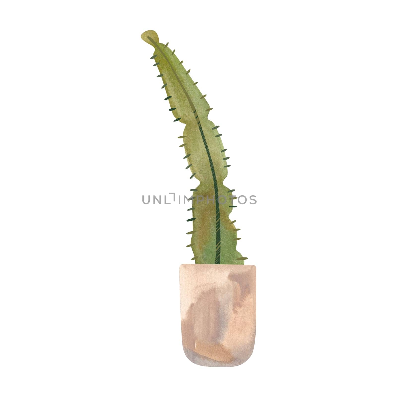 Cactus in a light concrete pot. Plants for the home. Floriculture. Interior decoration. Isolated watercolor illustration on white background. Clipart