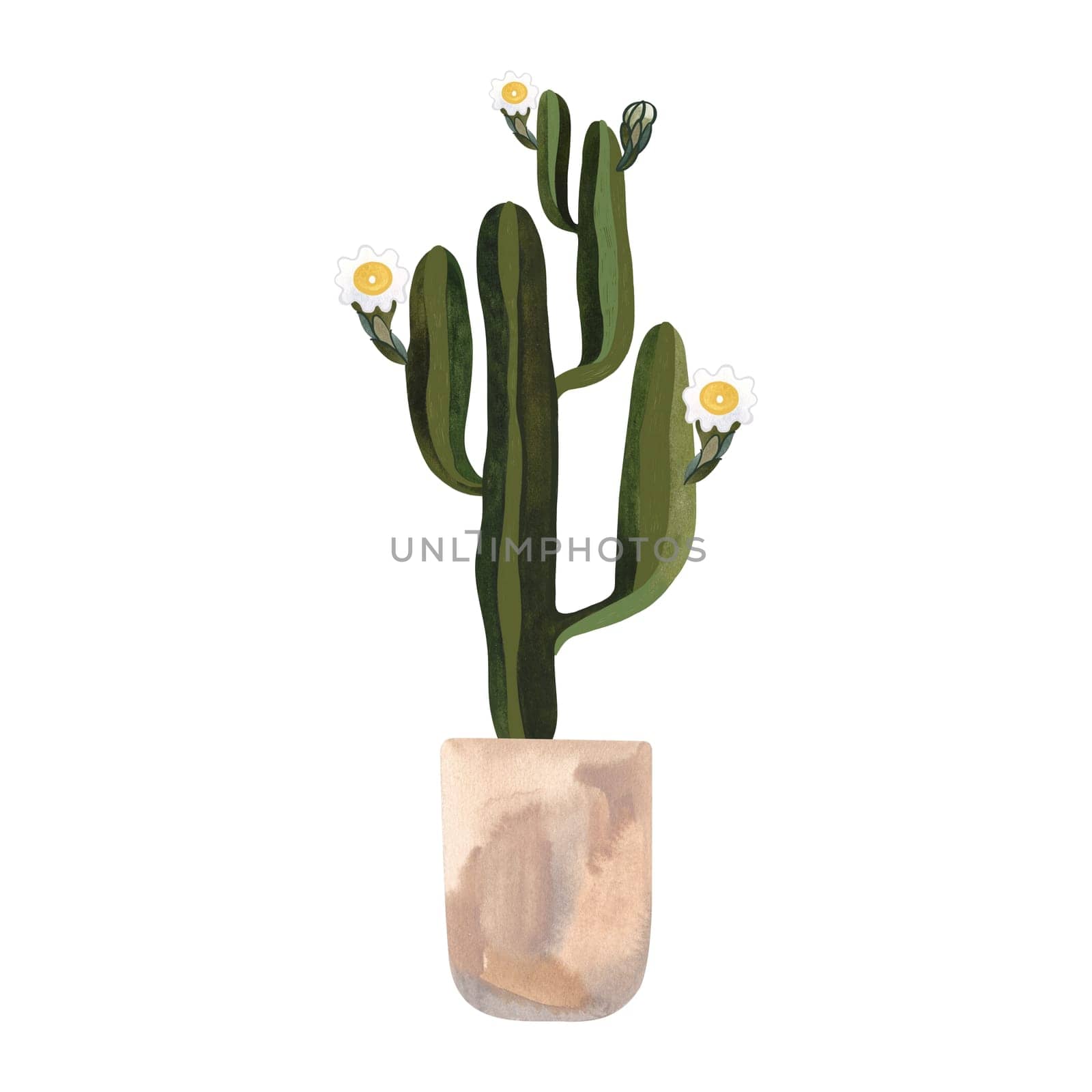 Blooming cactus in a light concrete pot. Plants for the home. Floriculture. Interior decoration. Isolated watercolor illustration on white background. Clipart