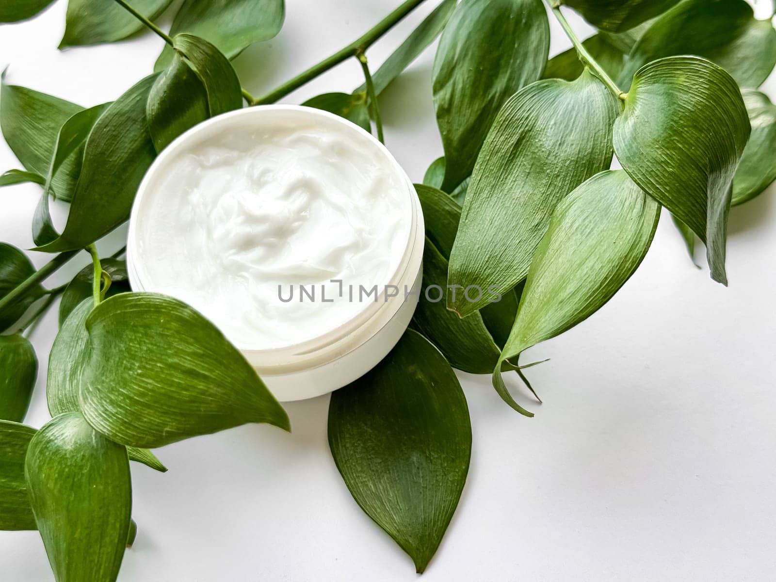 Close up of hand cream container with green leaves on white background. Skincare and natural beauty concept. For healthcare, wellness, and organic product poster. High quality photo