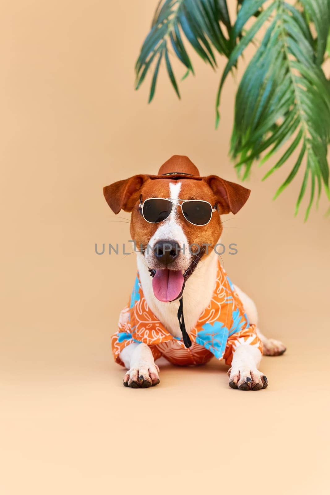 Cool smiling cute Dog Jack Russell Terrier in a Hawaiian shirt, hat and sunglasses on the beach under a palm tree. Summer holiday and travel concept, background, pet care