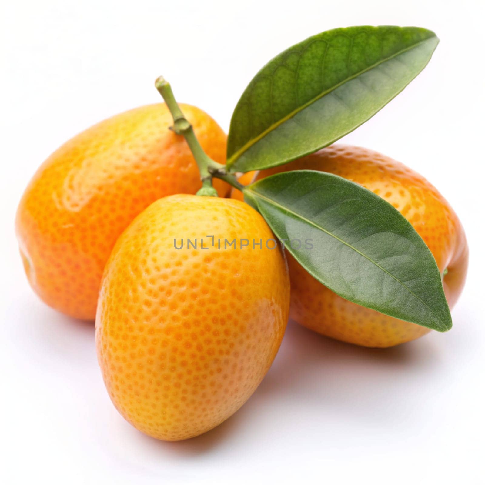 Kumquat with green leaves isolated on white background. Ai generated by alenamoore