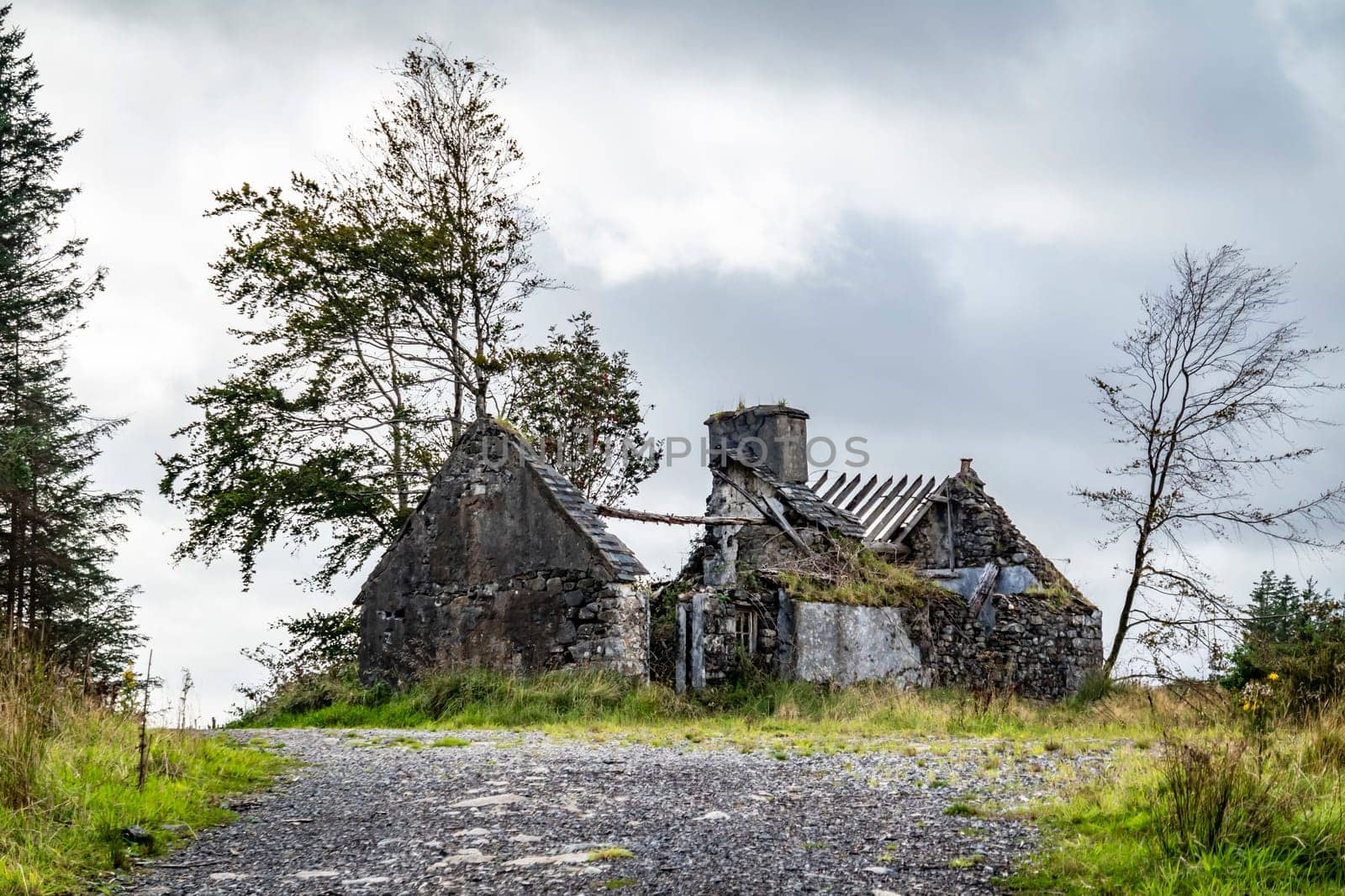 Derelict house in the forest at Letterilly by Glenties, County Donegal, Ireland.