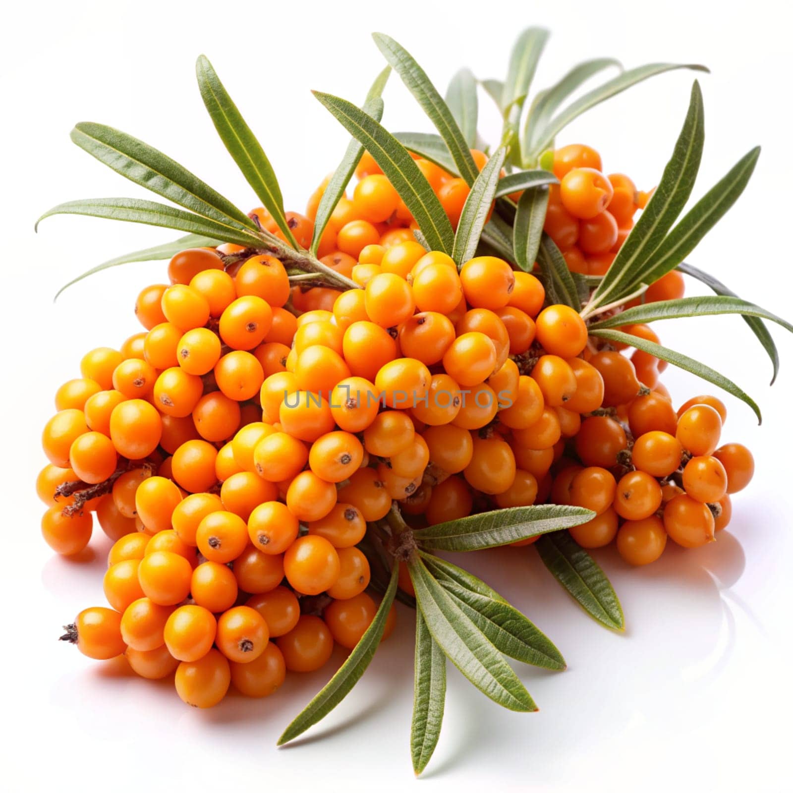 Branch of sea buckthorn berries with leaves. Ai generated image