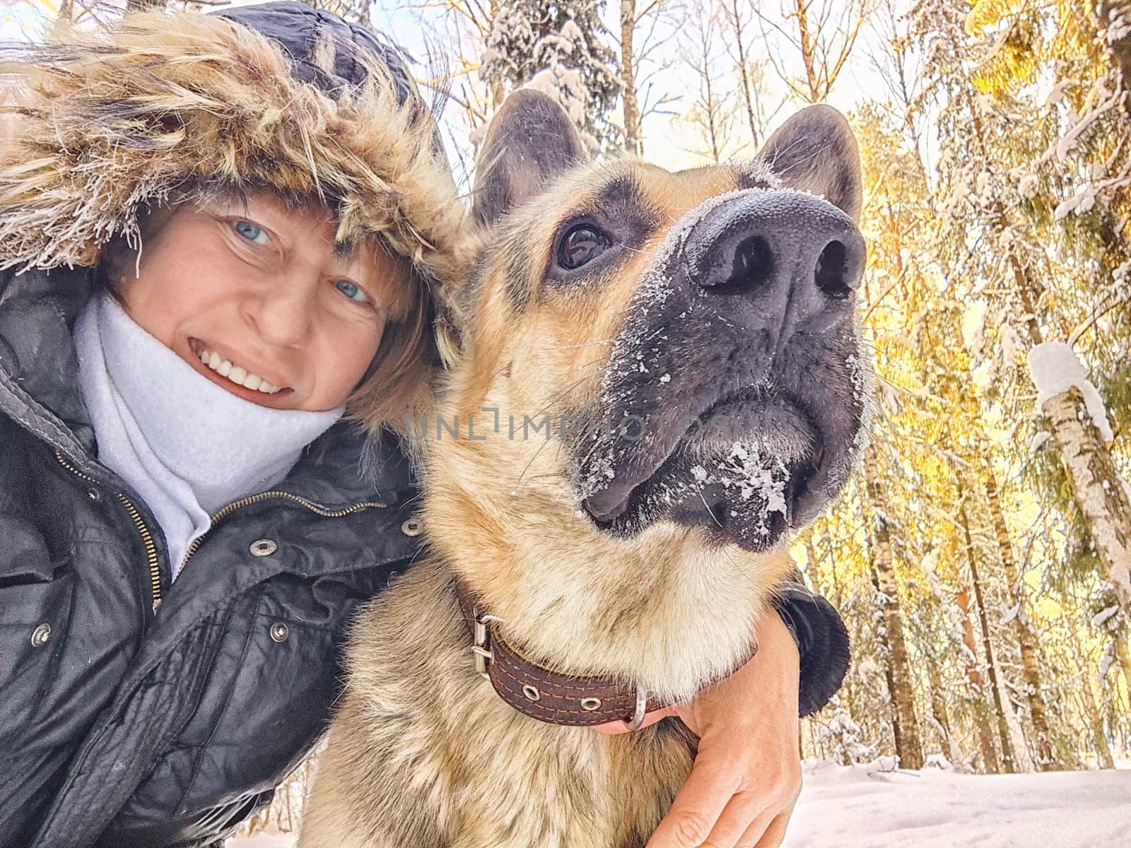 Adult girl or mature lady with shepherd dog taking selfies in winter nature landscape in forest. Middle aged woman and big shepherd dog in cold day. Friendship, love, communication, fun, hugs