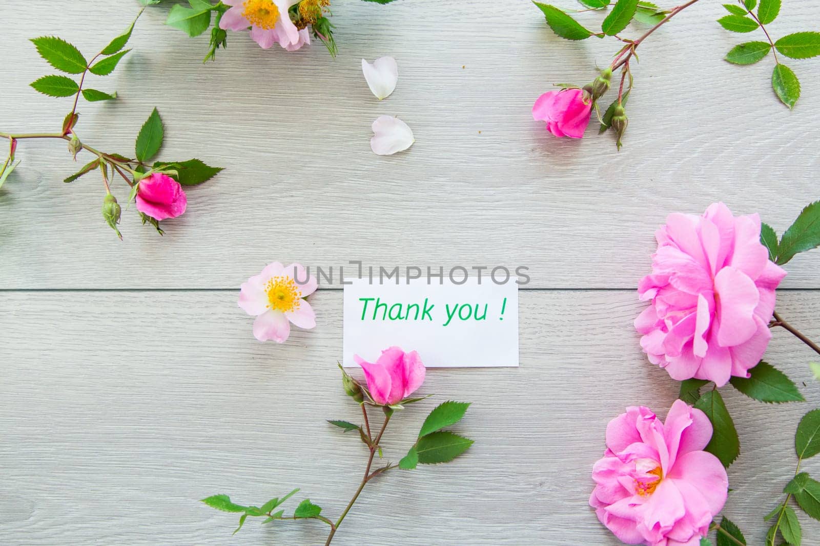 light wooden background with bright pink roses .