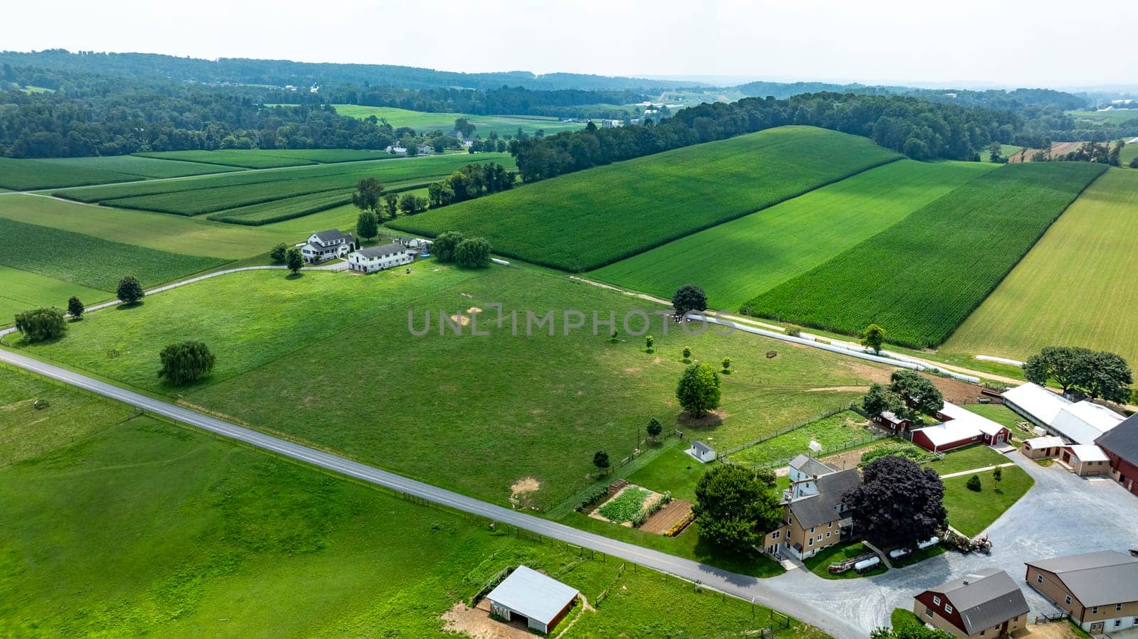 An Aerial View of Farmlands and Rural Homesteads