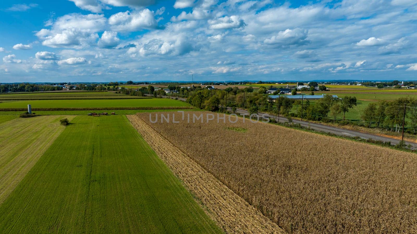 A Cornfield and Green Pastures under Blue Sky with Clouds