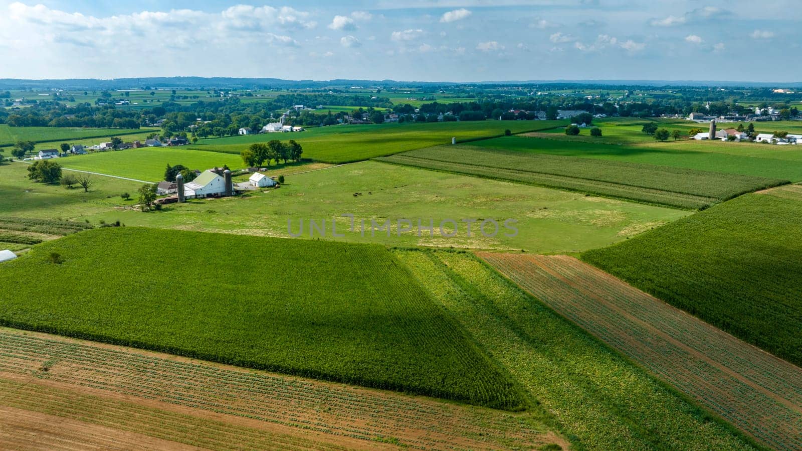 An Expansive Farmland with Rows of Crops and Barns