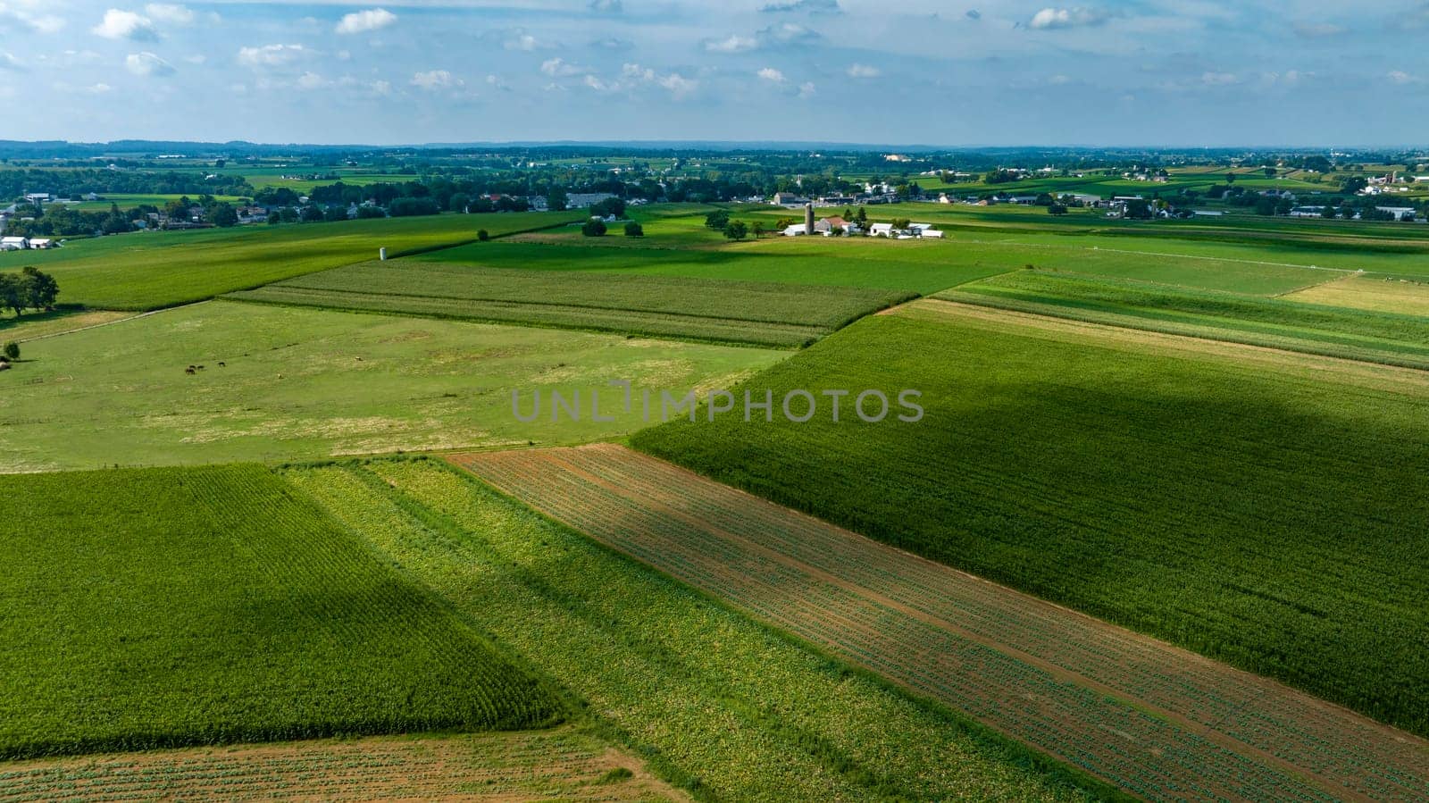 An Expansive Farmland with Rows of Crops and Barns