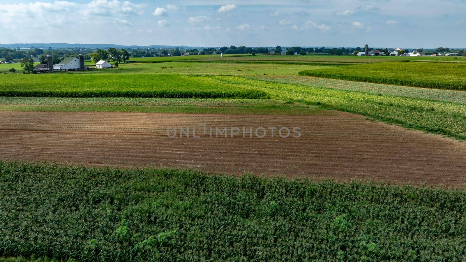 An Expansive Farmland with Rows of Crops and Barns