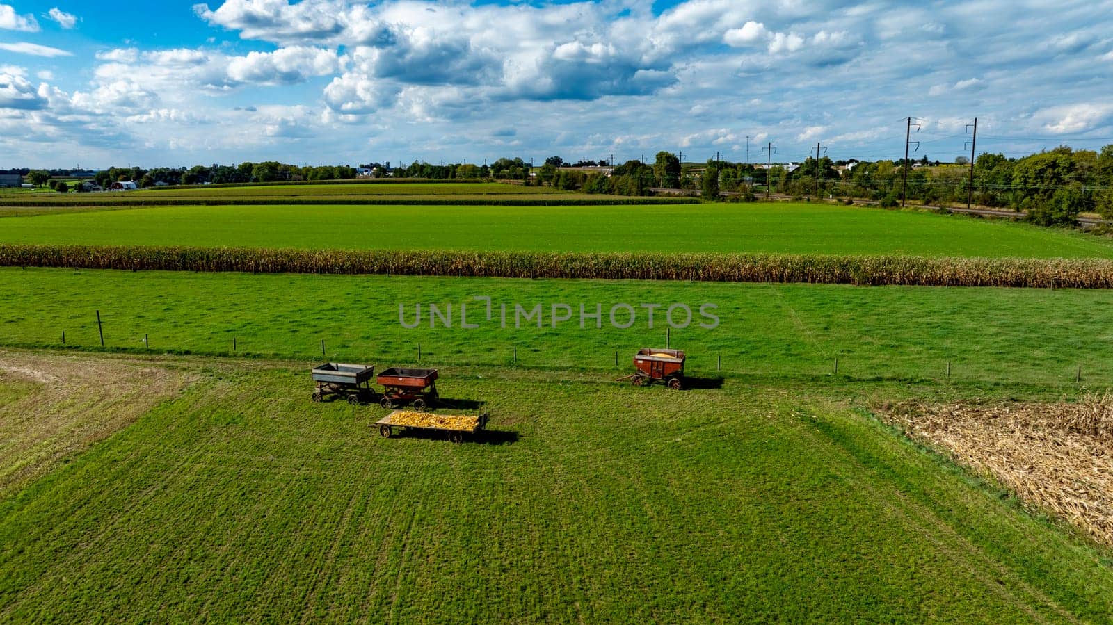 An Agricultural Field with Harvesting Equipment and Cornfield