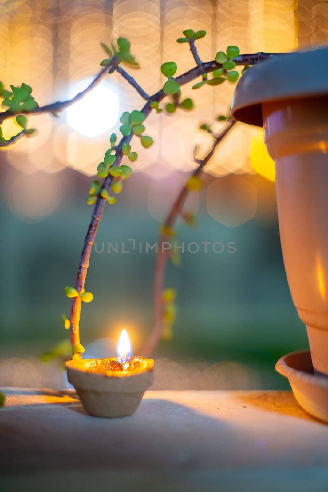 Organic diya lamp made of organic coconut fiber filled with oil and lit to provide light and as an offering to the hindu gods on the festival of diwali by Shalinimathur