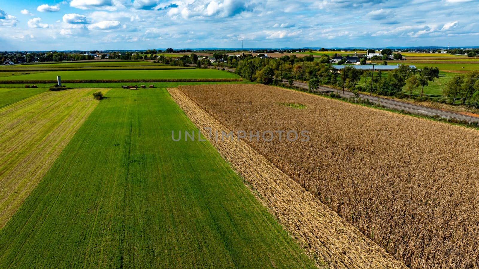 An Aerial View of Cornfield and Green Pastures in Countryside