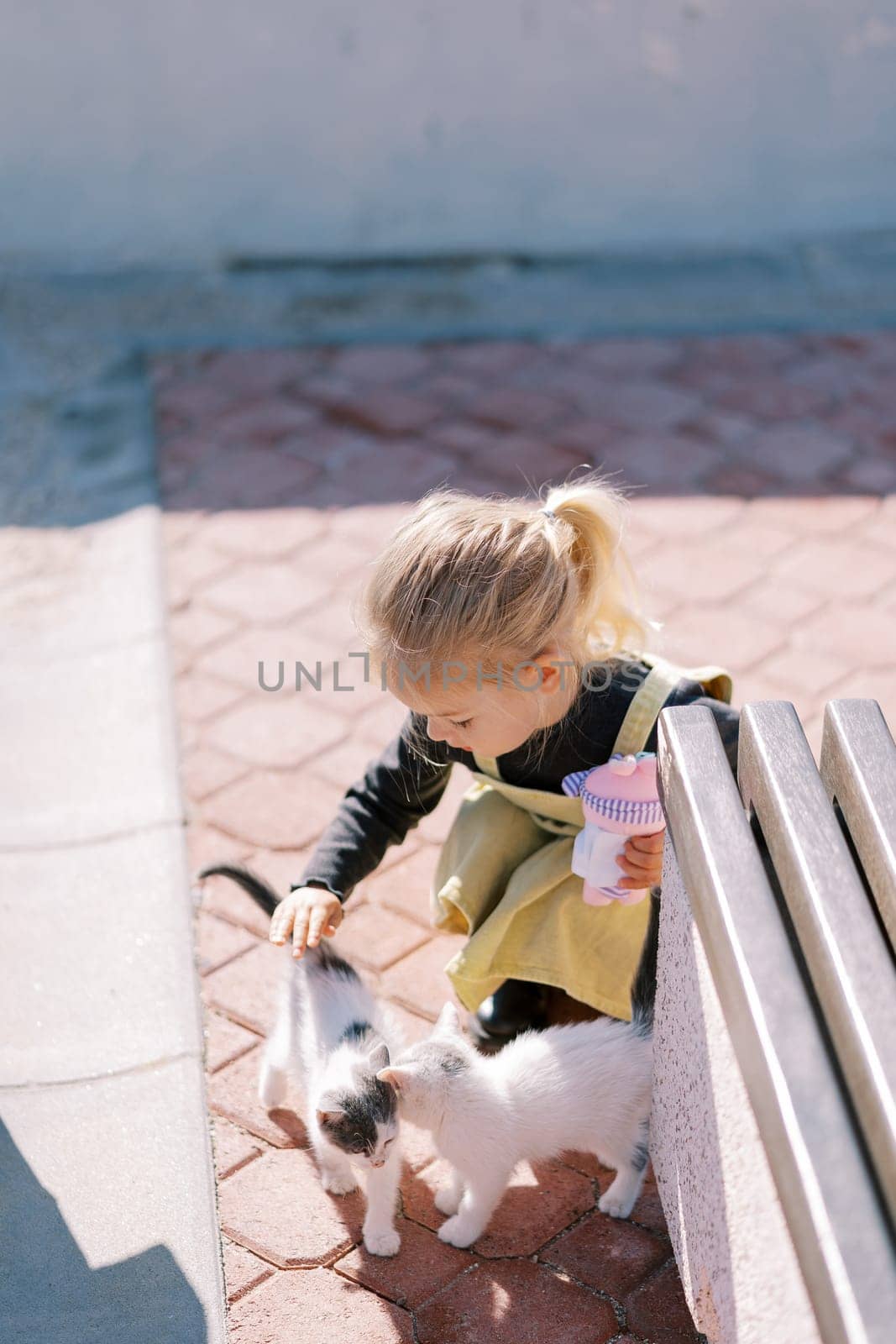 Little girl strokes kittens while squatting near a bench. High quality photo