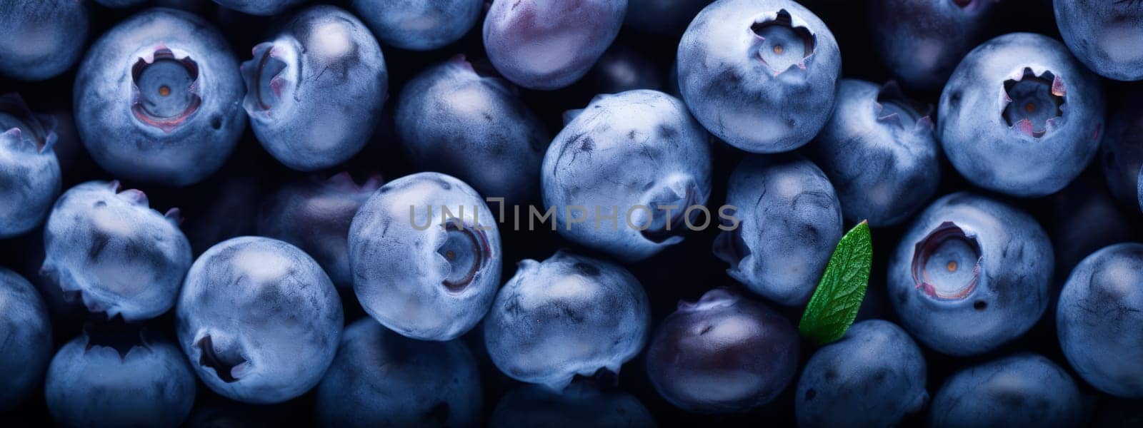 Fresh blueberry texture background. Macro seamless pattern of blueberry berries. by Artsiom