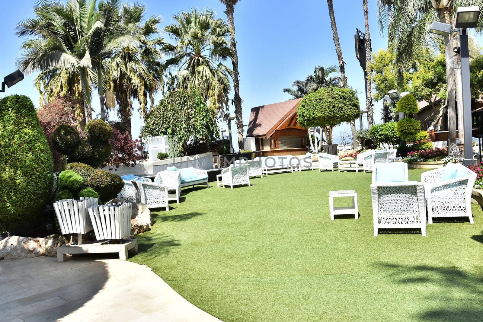 beautiful summer garden, garden white furniture, palm tree, sky. High quality photo