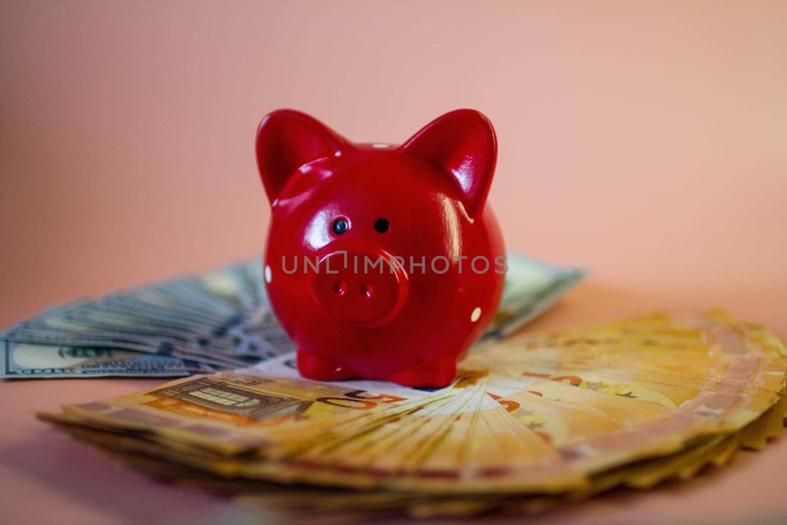 The piggy bank stands on money by VeronikaAngo