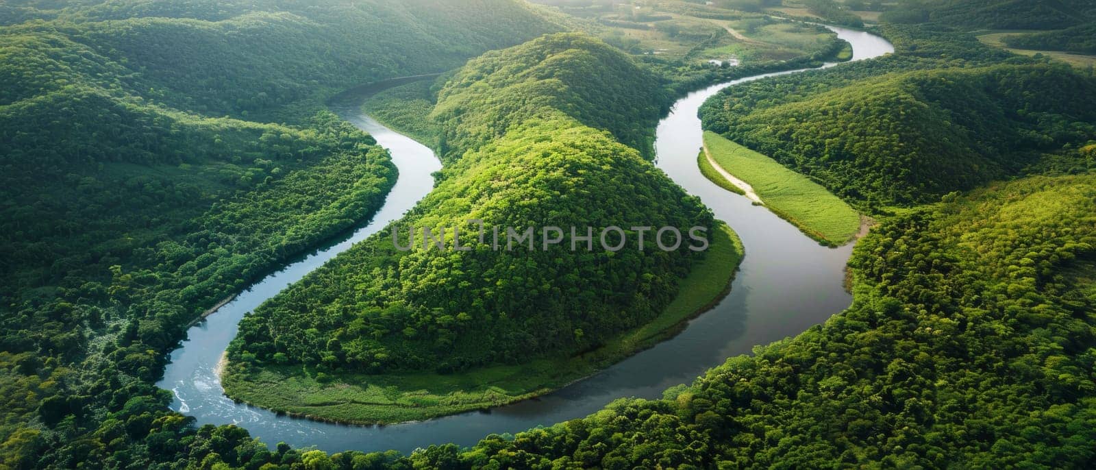 The meandering river cuts a sinuous path through the dense greenery, as seen from above, highlighting the contrast between water and forest.. by sfinks