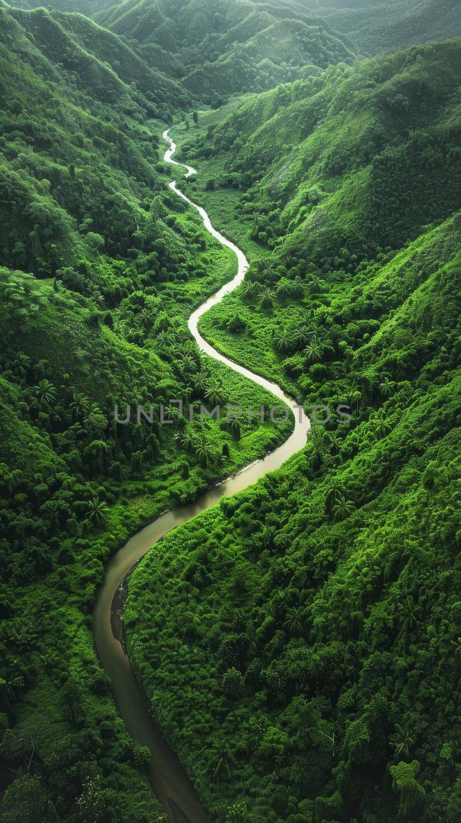 An aerial perspective reveals a river's winding path through lush, green mountains, showcasing the breathtaking beauty of this untouched landscape.. by sfinks