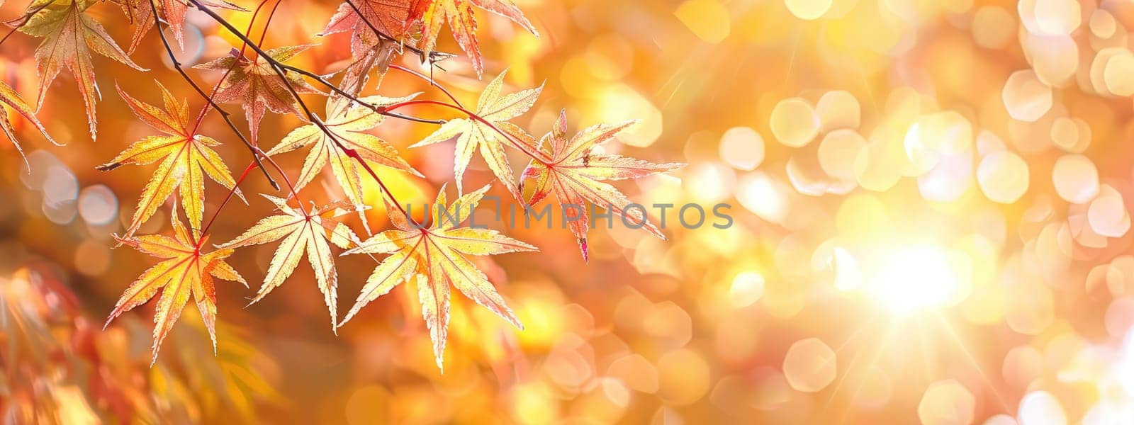 Tree branch with yellow leaves. Selective focus. by yanadjana