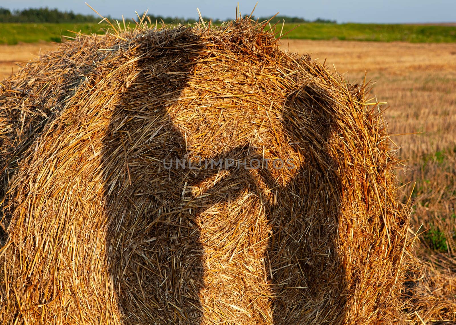 A round hay roll sits in a golden field at sunset with a long shadow of two people embracing cast on it. The sky is light blue, and the field continues in the background.