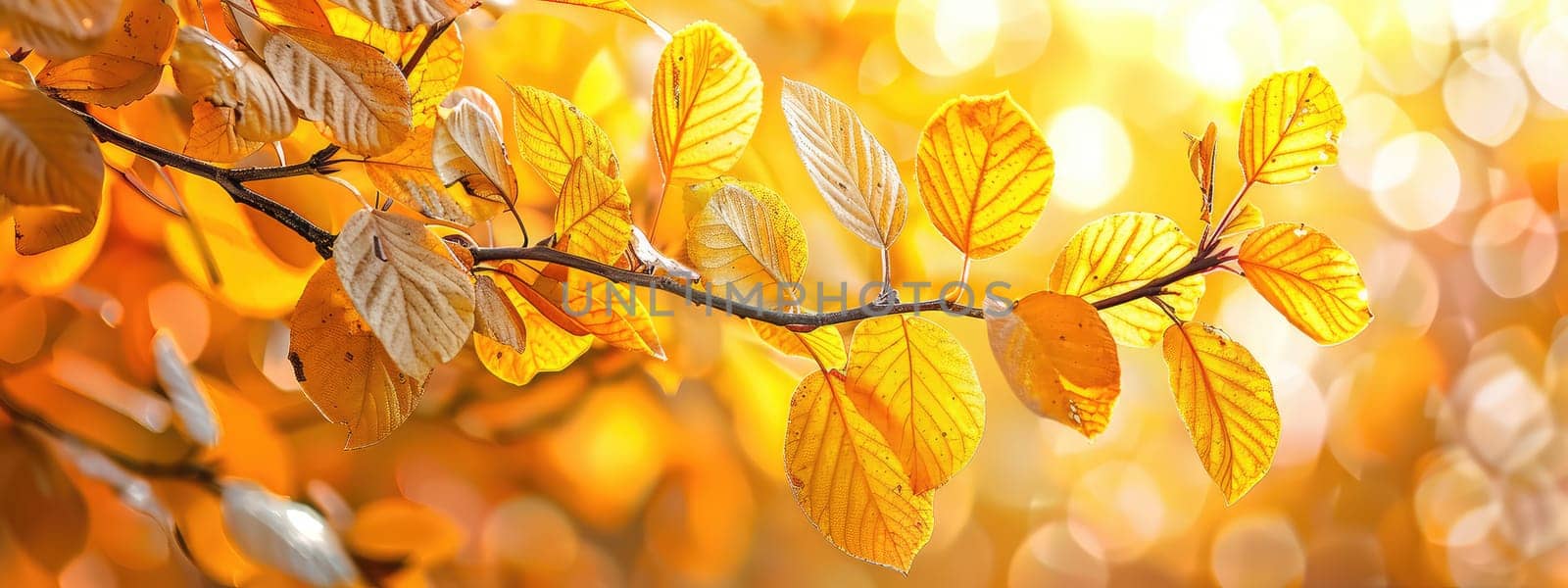 Tree branch with yellow leaves. Selective focus. by yanadjana