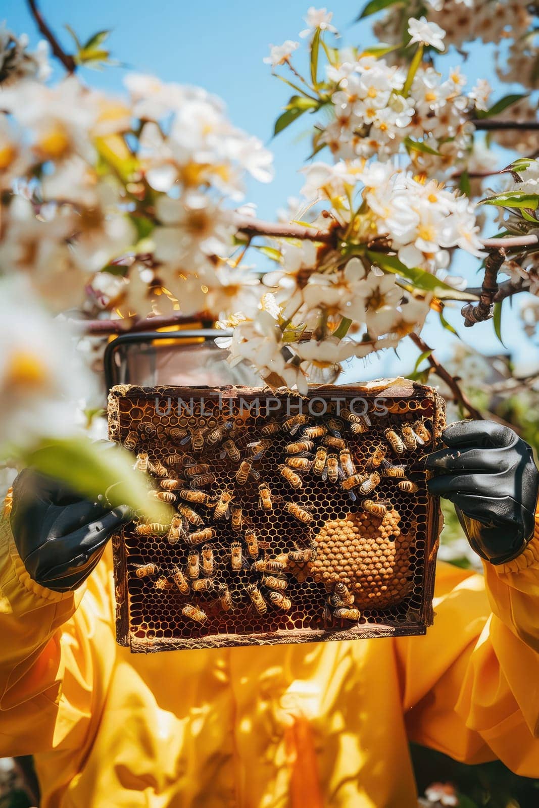 beekeeper in the apiary in a protective suit. Selective focus. nature.
