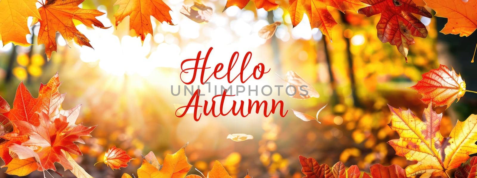 Applique of autumn leaves. Selective focus. nature.