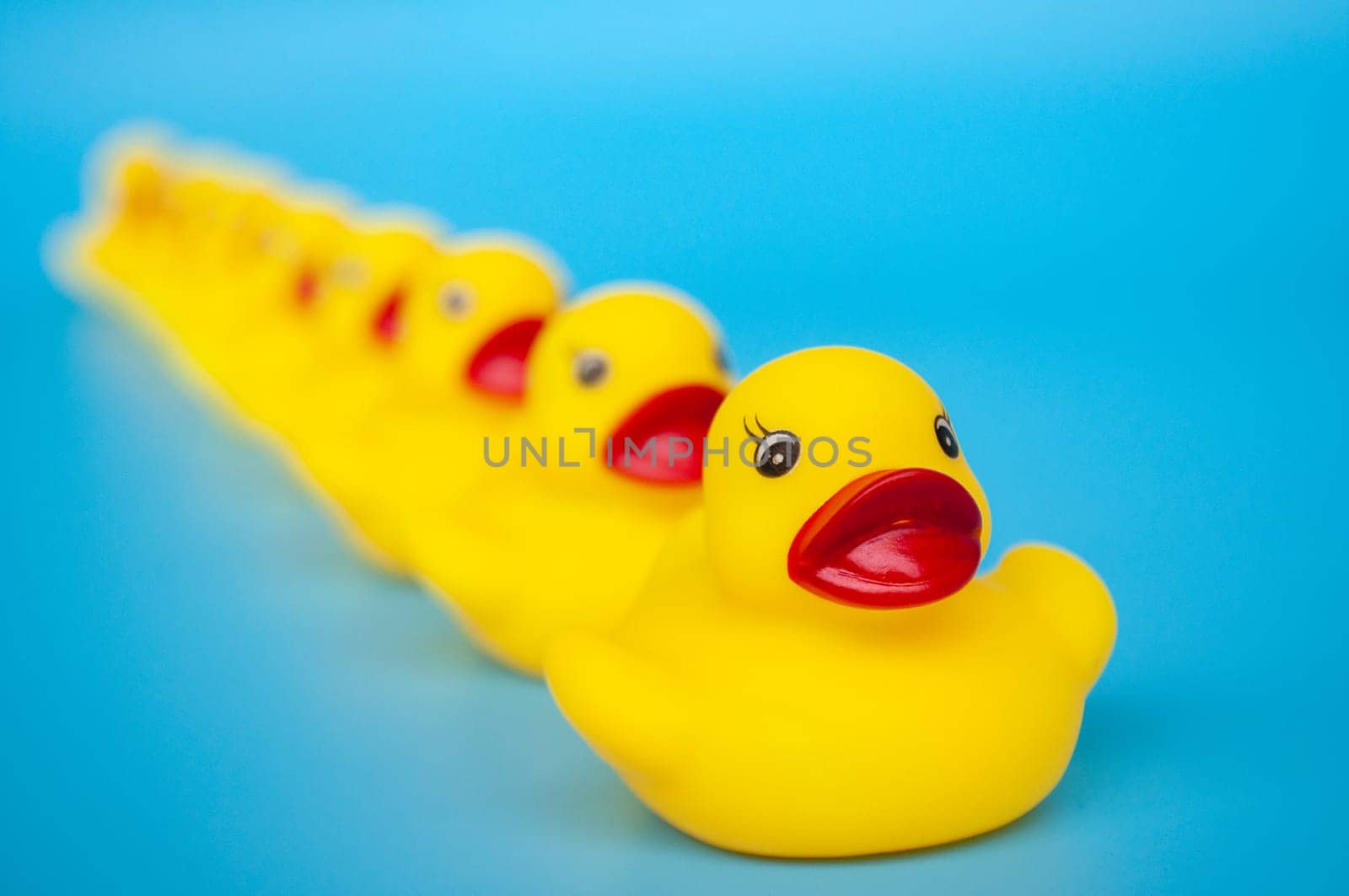 Close up of rubber duck leading other rubber ducks. Leadership concept.