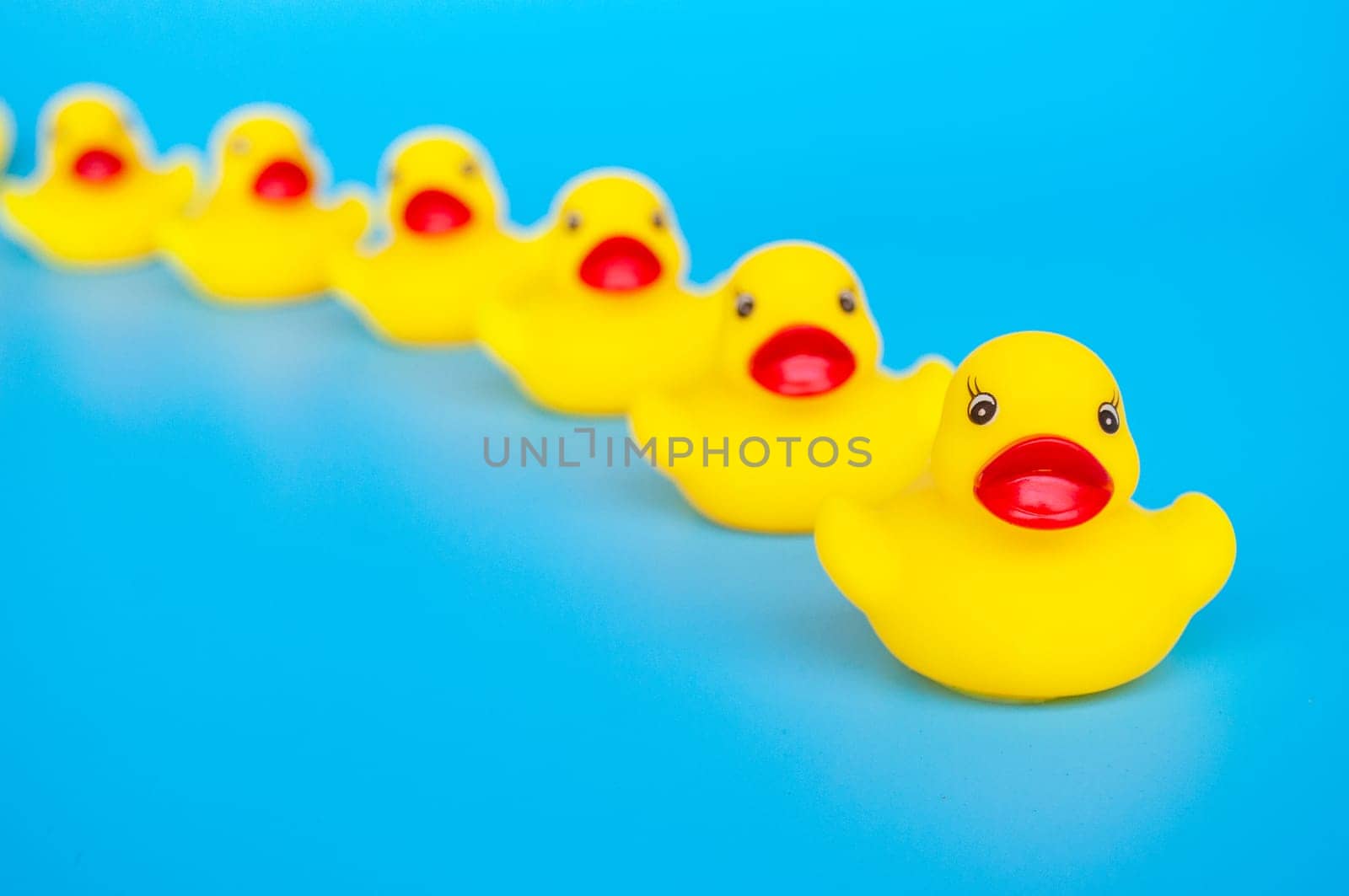 Rubber duck leading other rubber ducks with customizable space for text. Leadership concept.