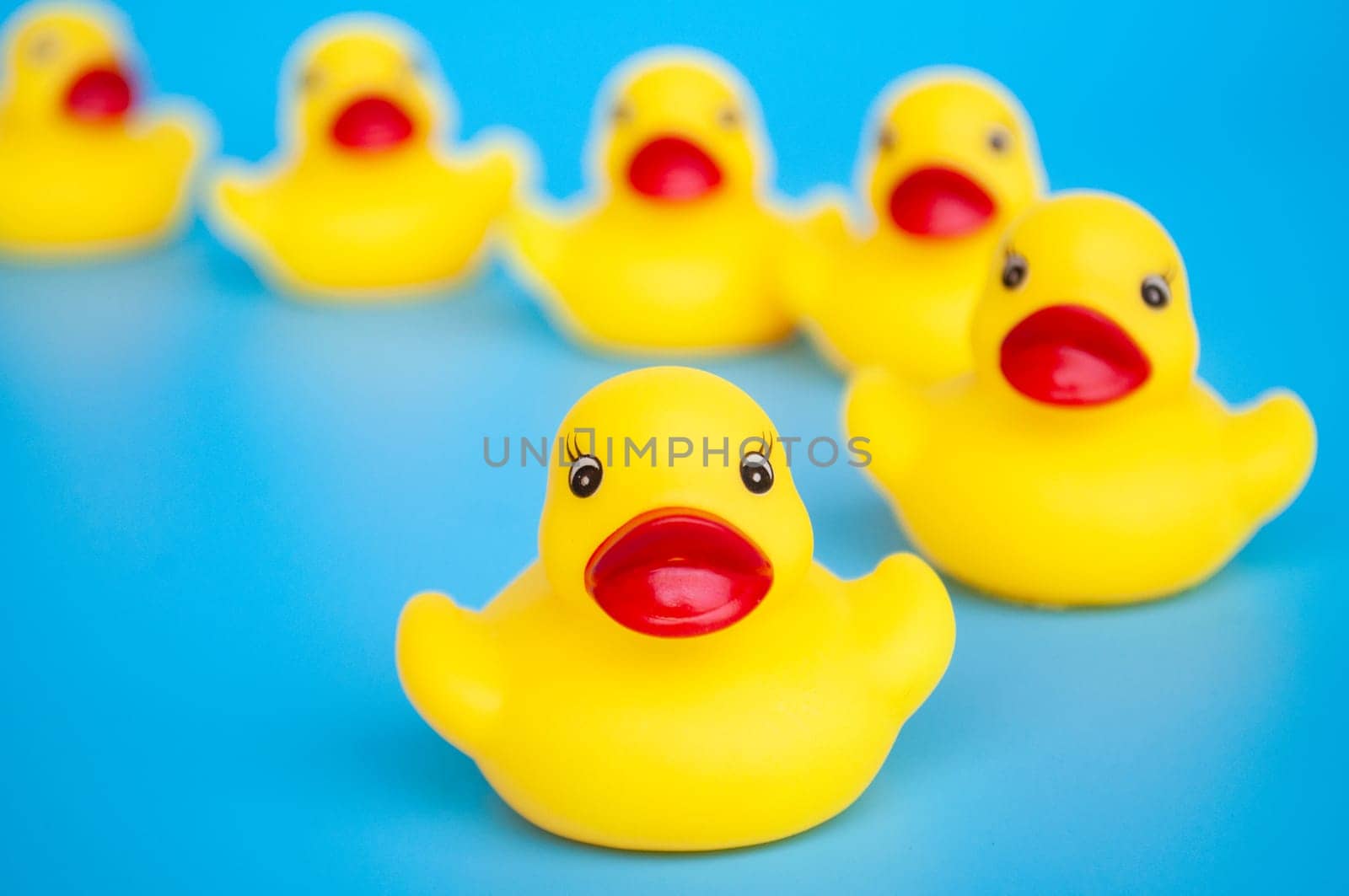 Close up of rubber duck leading other rubber ducks. Leadership and followers concept.