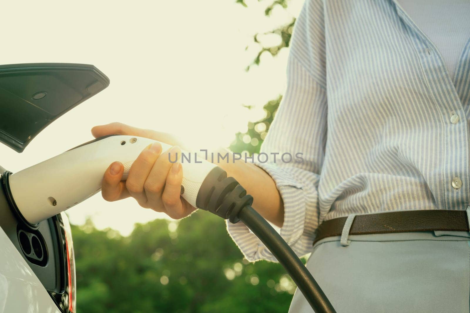 Young woman recharging battery for electric car during road trip travel EV car in natural forest or national park with sunrise lighting. Eco friendly travel during vacation and holiday. Exalt