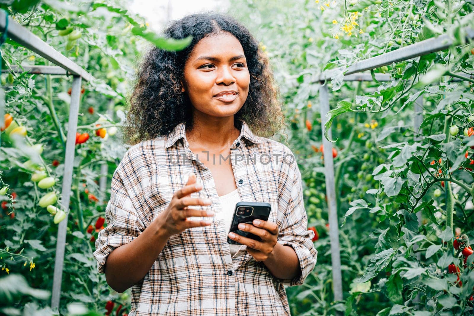 Greenhouse owner, smiling woman, talks on phone, holding tomatoes. Business communication for farm orders. Nature's growth, modern technology connect.