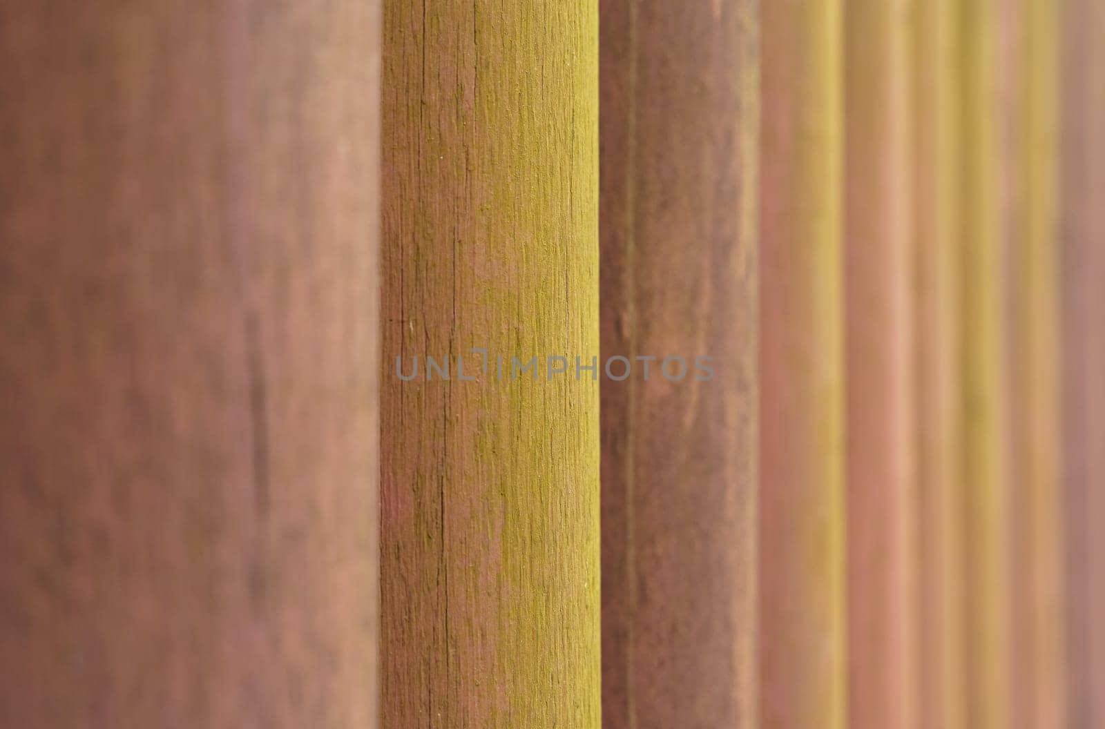 Detailed view of a row of wooden poles, showing their texture and pattern as they stand in a straight line like a fence.