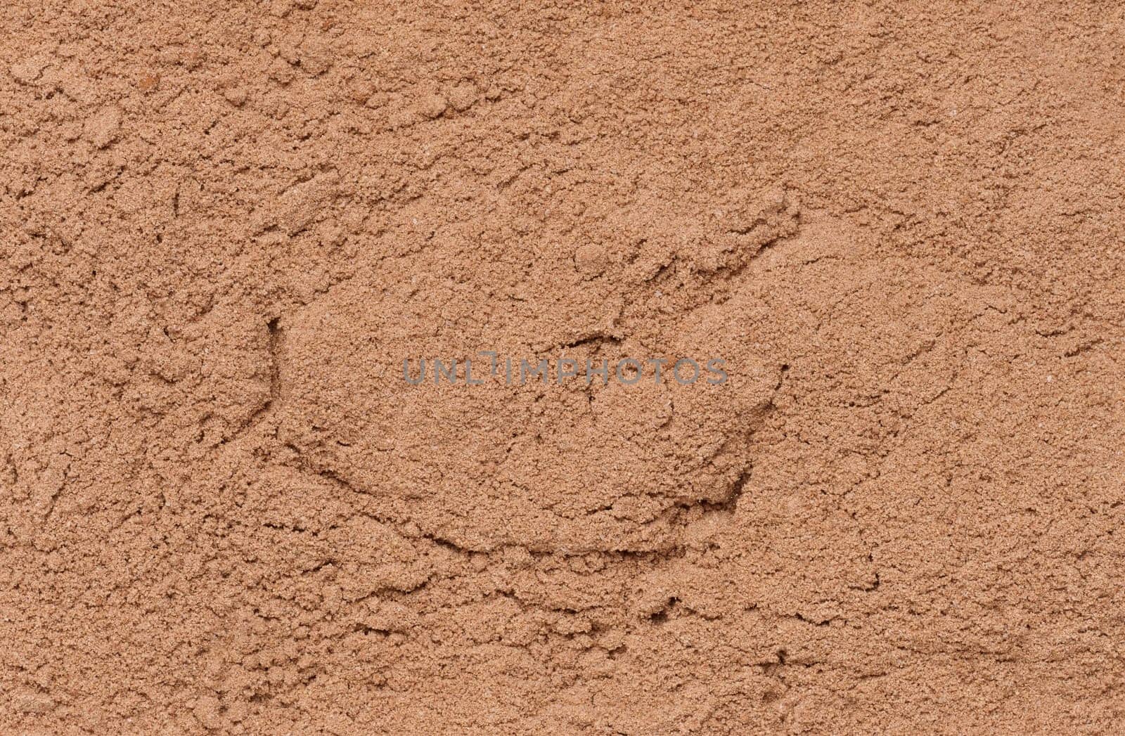 Dry ground cocoa powder, texture. Close up