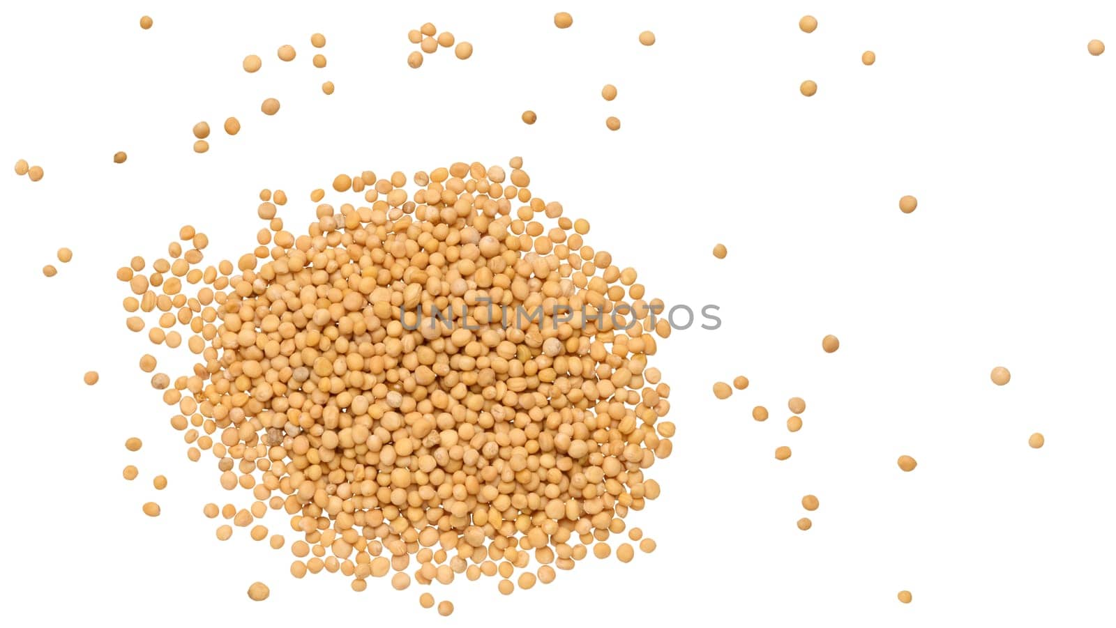 Scattered mustard seeds on isolated background, top view