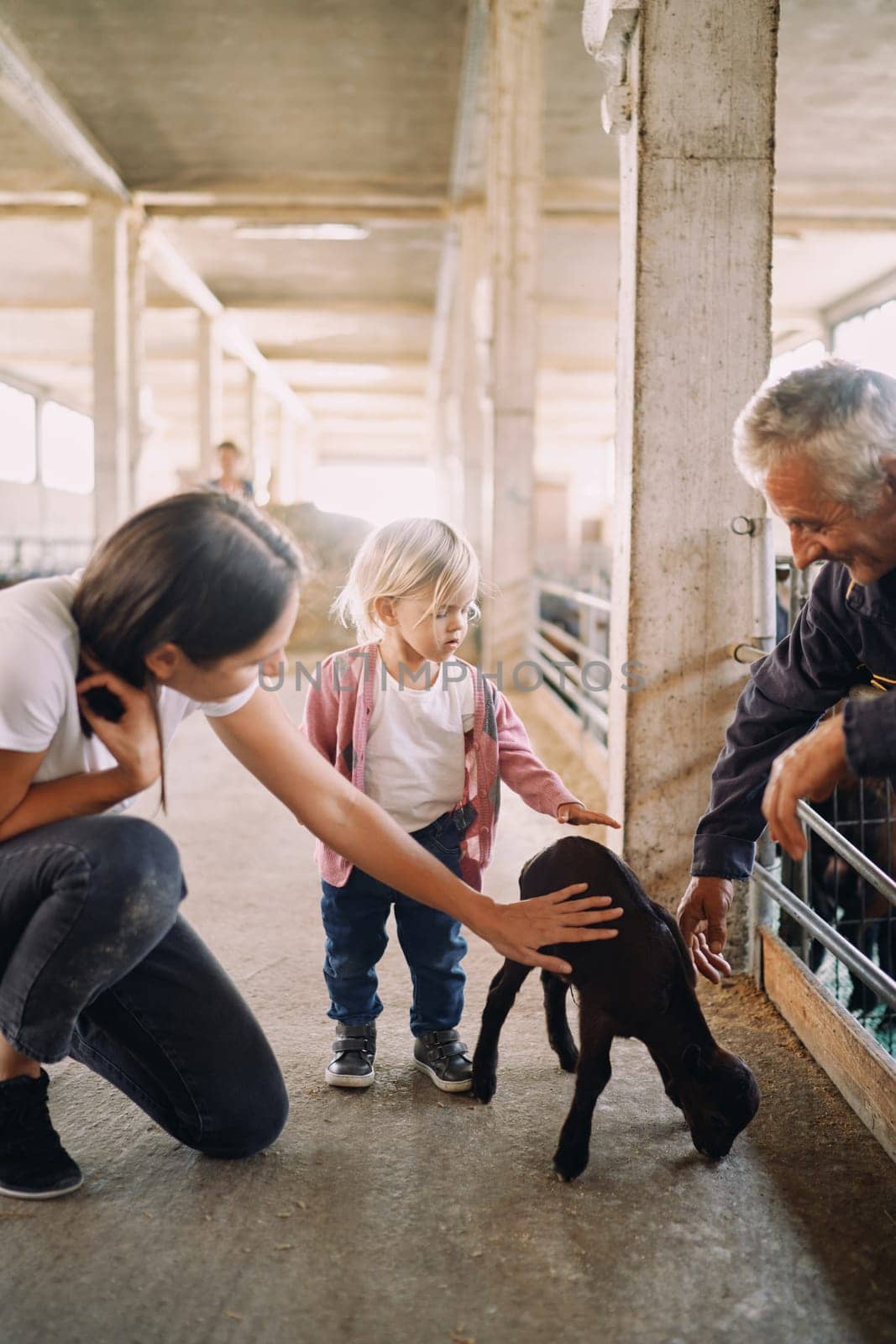 Male farmer, mother and little girl petting a goat near the fence at the ranch. High quality photo