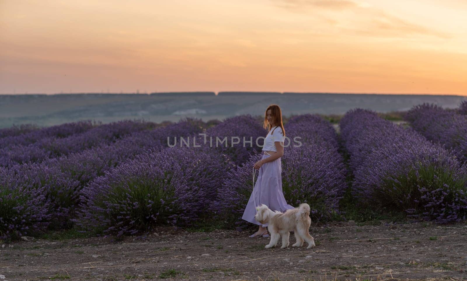 A woman and her dog walk through a field of lavender. The sky is a beautiful orange and pink color, creating a peaceful and serene atmosphere