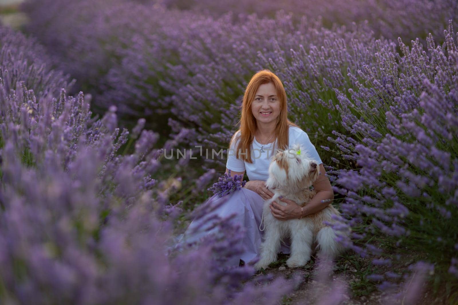 A woman sits in a field of lavender with her dog. The scene is peaceful and serene, with the purple flowers surrounding them